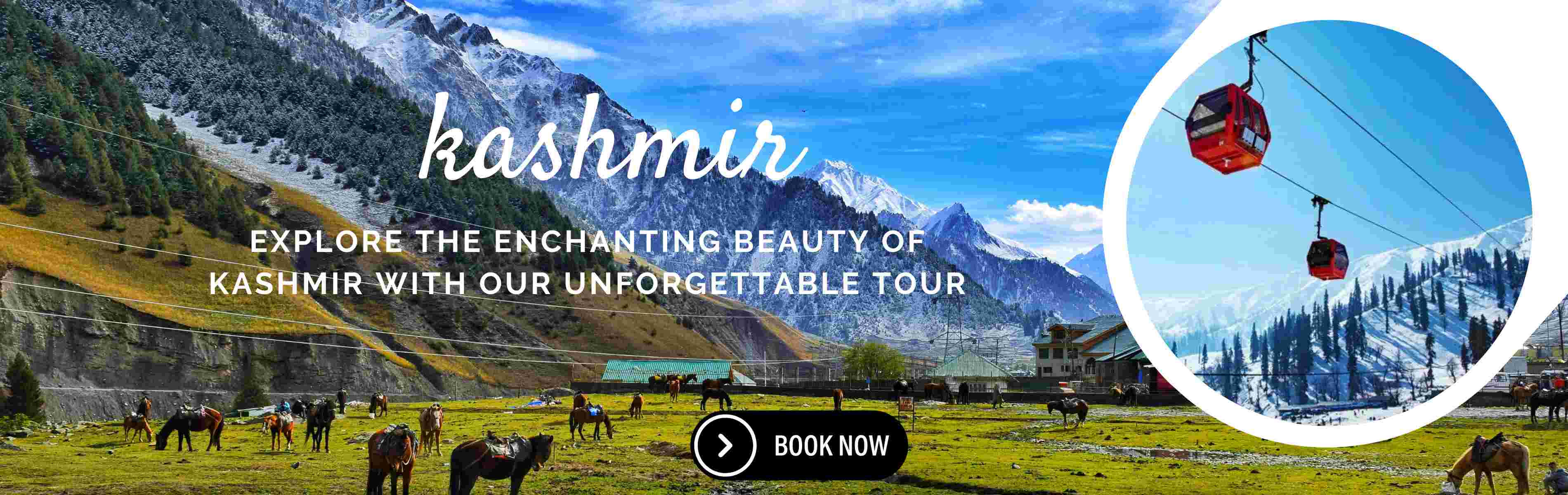 Kashmir Srinagar, Pahalgam, Gulmarg, Sonmarg 06D / 05N Tour Package !